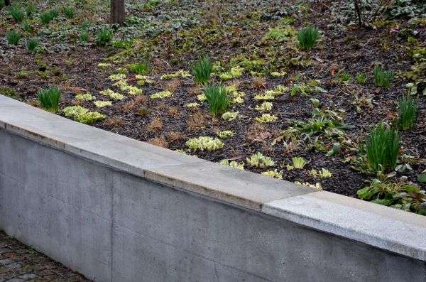 Concrete Wall Construction in Ashburn