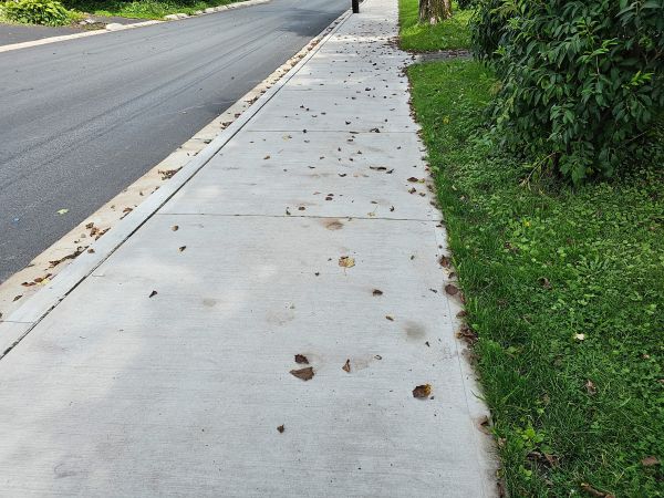 Sidewalk Renovation in Ashburn
