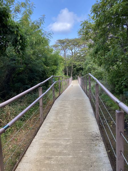 Footpath Construction in Ashburn
