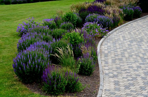 Sidewalk Curb Installation in Ashburn