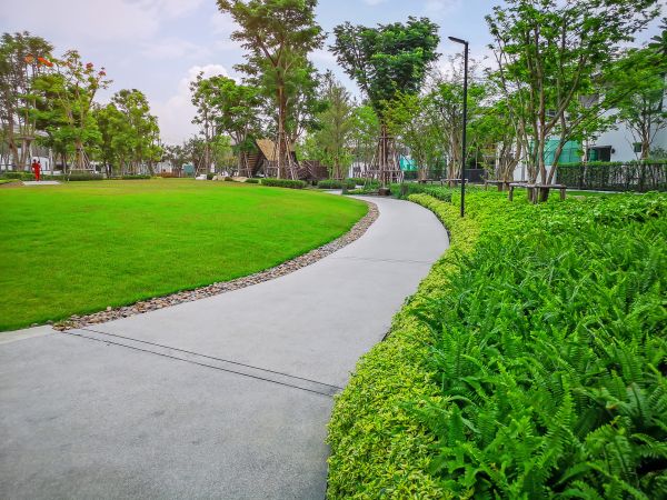 Cement Walkway Service in Ashburn