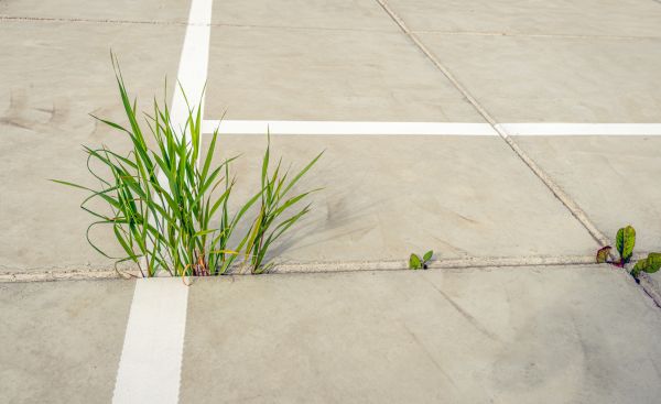 Concrete Parking Installation in Ashburn