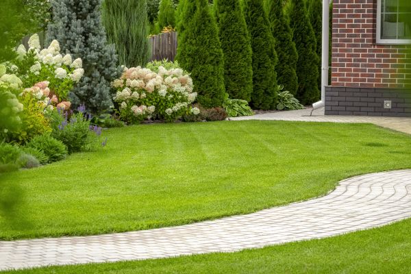 Landscape Walkway Installation in Ashburn